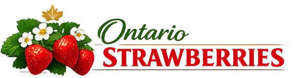 Ontario Strawberries